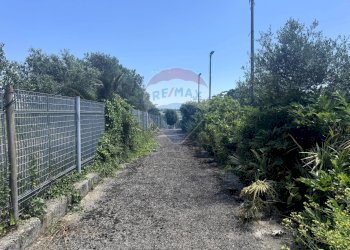 Giardino - Villa Via della Tenutella
 
74, Albano Laziale - foto 77