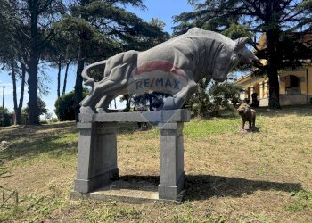 Giardino - Villa Via della Tenutella
 
74, Albano Laziale - foto 81