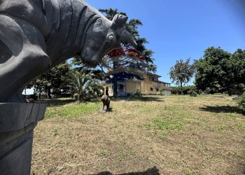 Giardino - Villa Via della Tenutella
 
74, Albano Laziale - foto 82
