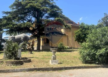 Giardino - Villa Via della Tenutella
 
74, Albano Laziale - foto 93