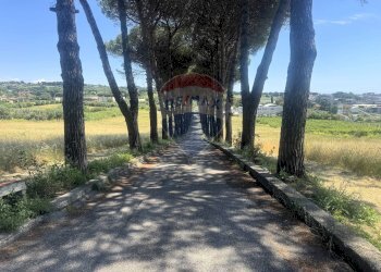 Non correlato - Villa Via della Tenutella
 
74, Albano Laziale - foto 94
