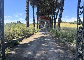 Non correlato - Villa Via della Tenutella
 
74, Albano Laziale - foto 95