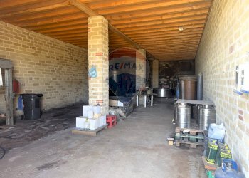 Parcheggio - Terreno agricolo Via della Tenutella, Albano Laziale - foto 3