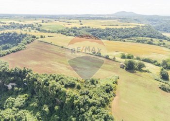 Vista delle montagne - Rustico Strada Provinciale 109 di Castro
 
snc, Ischia di Castro - foto 17