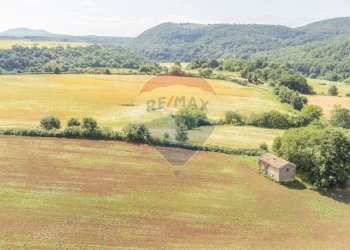 Vista delle montagne - Rustico Strada Provinciale 109 di Castro
 
snc, Ischia di Castro - foto 23