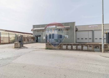 Edificio all\'aperto - Laboratorio SR 312 CASTRENZE
 
snc, Montalto di Castro - foto 2