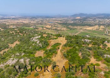 Foto 1 - Terreno edificabile SP66, Loiri Porto San Paolo - foto 1