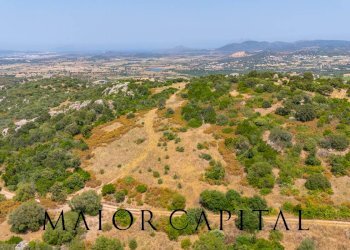 Foto 2 - Terreno edificabile SP66, Loiri Porto San Paolo - foto 2