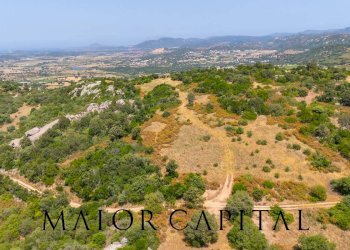 Foto 3 - Terreno edificabile SP66, Loiri Porto San Paolo - foto 3