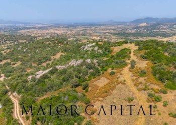 Foto 4 - Terreno edificabile SP66, Loiri Porto San Paolo - foto 4