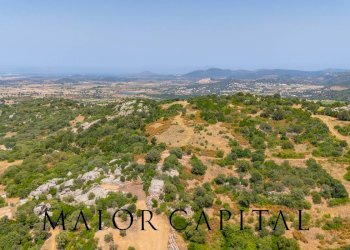 Foto 9 - Terreno edificabile SP66, Loiri Porto San Paolo - foto 9