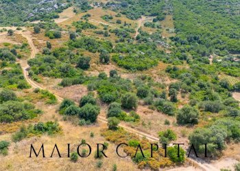 Foto 12 - Terreno edificabile SP66, Loiri Porto San Paolo - foto 12