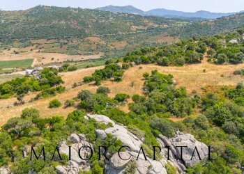 Foto 13 - Terreno edificabile SP66, Loiri Porto San Paolo - foto 13