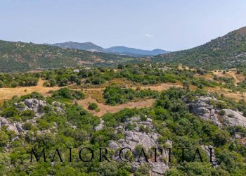 Foto 14 - Terreno edificabile SP66, Loiri Porto San Paolo - foto 14