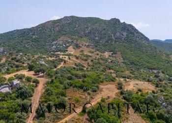 Foto 16 - Terreno edificabile SP66, Loiri Porto San Paolo - foto 16