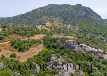 Foto 17 - Terreno edificabile SP66, Loiri Porto San Paolo - foto 17