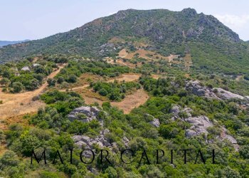 Foto 18 - Terreno edificabile SP66, Loiri Porto San Paolo - foto 18