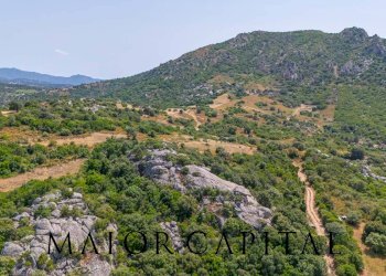 Foto 19 - Terreno edificabile SP66, Loiri Porto San Paolo - foto 19