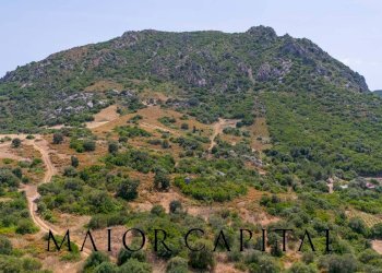 Foto 22 - Terreno edificabile SP66, Loiri Porto San Paolo - foto 22