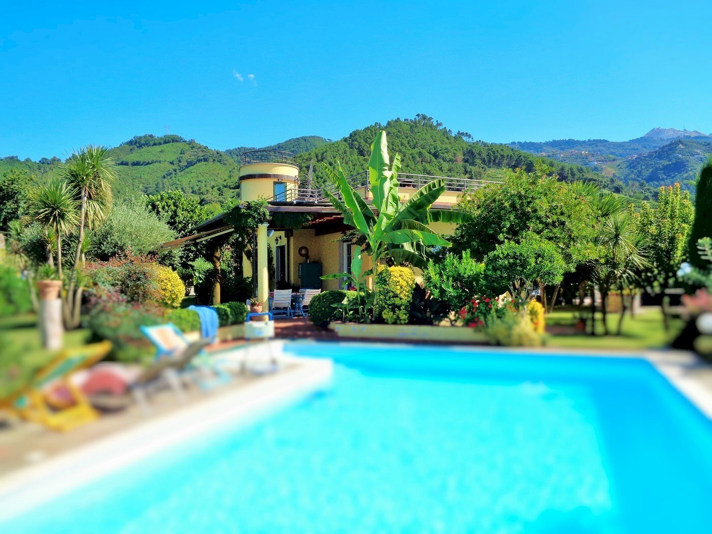 Foto 1 - Villa Montignoso - foto 1