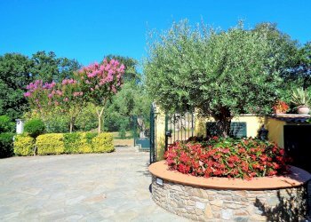 Foto 6 - Villa Montignoso - foto 6