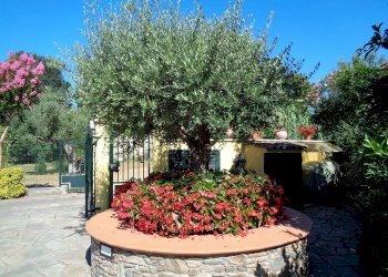 Foto 10 - Villa Montignoso - foto 10