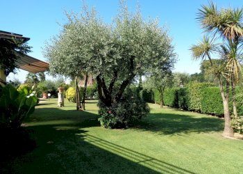 Foto 20 - Villa Montignoso - foto 20