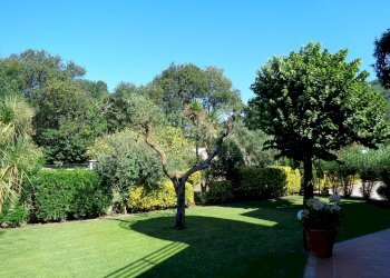 Foto 21 - Villa Montignoso - foto 21