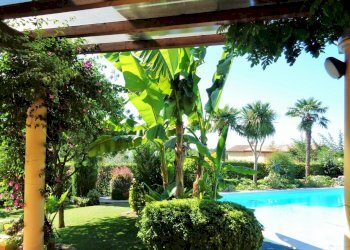 Foto 23 - Villa Montignoso - foto 23