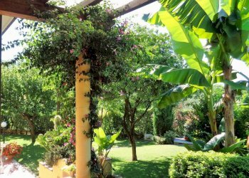 Foto 24 - Villa Montignoso - foto 24