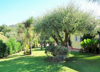 Foto 31 - Villa Montignoso - foto 31