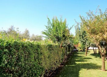 Foto 37 - Villa Montignoso - foto 37