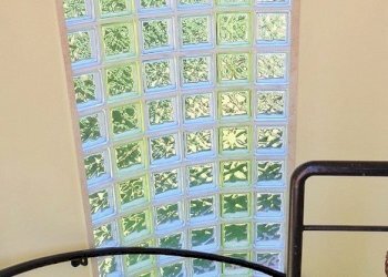 Foto 40 - Villa Montignoso - foto 40