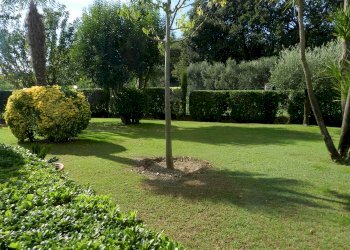 Foto 61 - Villa Montignoso - foto 61