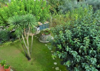 Foto 105 - Villa Montignoso - foto 105