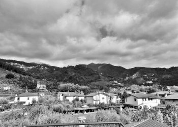 Foto 110 - Villa Montignoso - foto 110