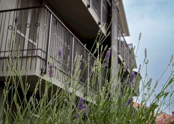 Foto 1 - Quadrilocale Via Mazzini
 
37, Rivoli - foto 1