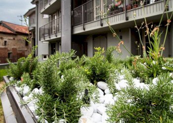 Foto 20 - Quadrilocale Via Mazzini
 
37, Rivoli - foto 20