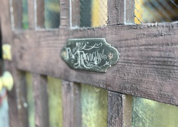 Foto 89 - Villa via Ulderico Ollearo
 
65, San Salvatore Monferrato - photo 89