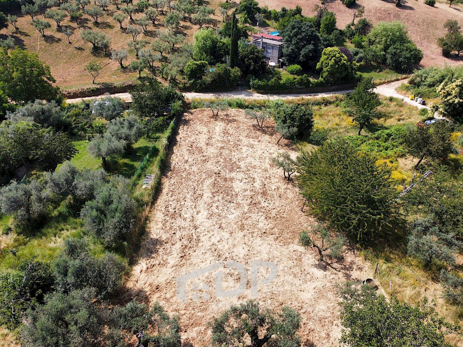 Foto 3 - Terreno agricolo Strada della Fornace
 
snc, Palombara Sabina - foto 3