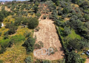 Foto 1 - Terreno agricolo Strada della Fornace
 
snc, Palombara Sabina - foto 1