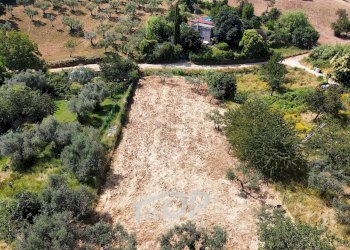 Foto 3 - Terreno agricolo Strada della Fornace
 
snc, Palombara Sabina - foto 3