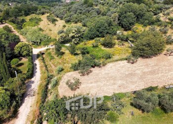 Foto 6 - Terreno agricolo Strada della Fornace
 
snc, Palombara Sabina - foto 6