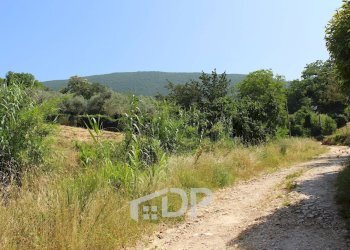 Foto 7 - Terreno agricolo Strada della Fornace
 
snc, Palombara Sabina - foto 7