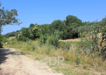 Foto 8 - Terreno agricolo Strada della Fornace
 
snc, Palombara Sabina - foto 8