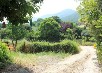 Foto 11 - Terreno agricolo Strada della Fornace
 
snc, Palombara Sabina - foto 11