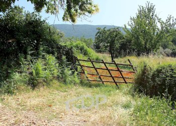 Foto 12 - Terreno agricolo Strada della Fornace
 
snc, Palombara Sabina - foto 12