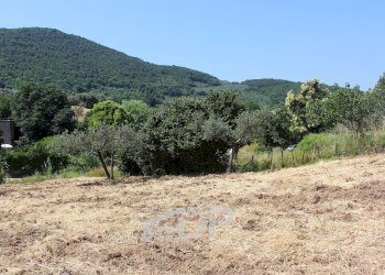 Foto 13 - Terreno agricolo Strada della Fornace
 
snc, Palombara Sabina - foto 13