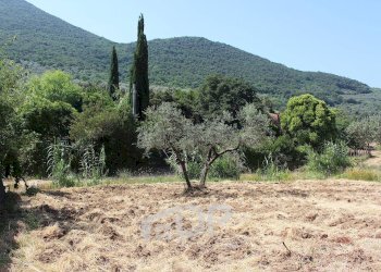 Foto 16 - Terreno agricolo Strada della Fornace
 
snc, Palombara Sabina - foto 16