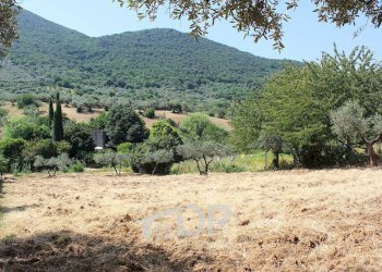 Foto 17 - Terreno agricolo Strada della Fornace
 
snc, Palombara Sabina - foto 17